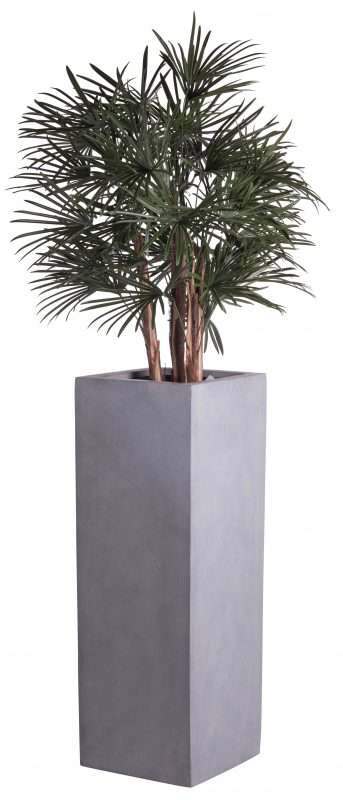 coral-gray