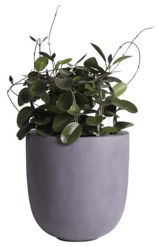 grijze grote bloempot