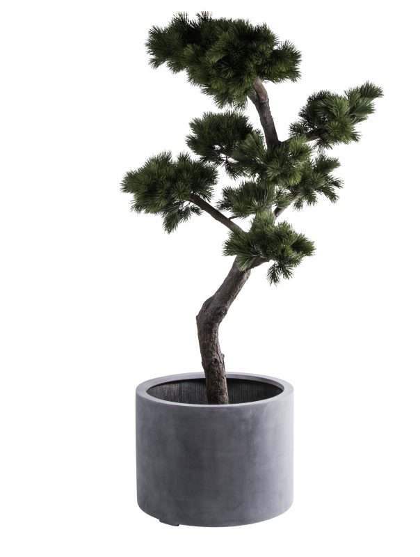 grote ronde plantenbak