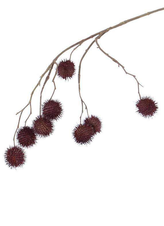 kunst platanus