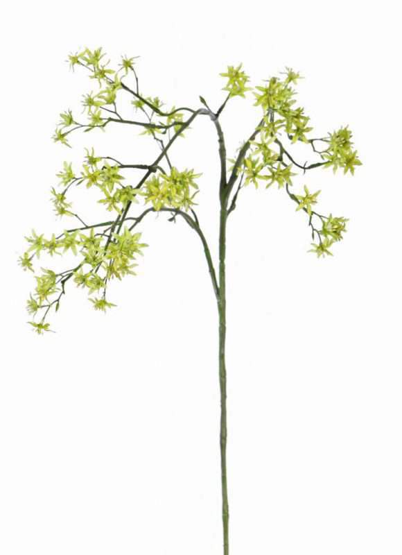 kunst bruidsbloem