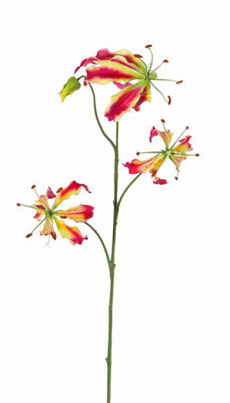 kunst gloriosa