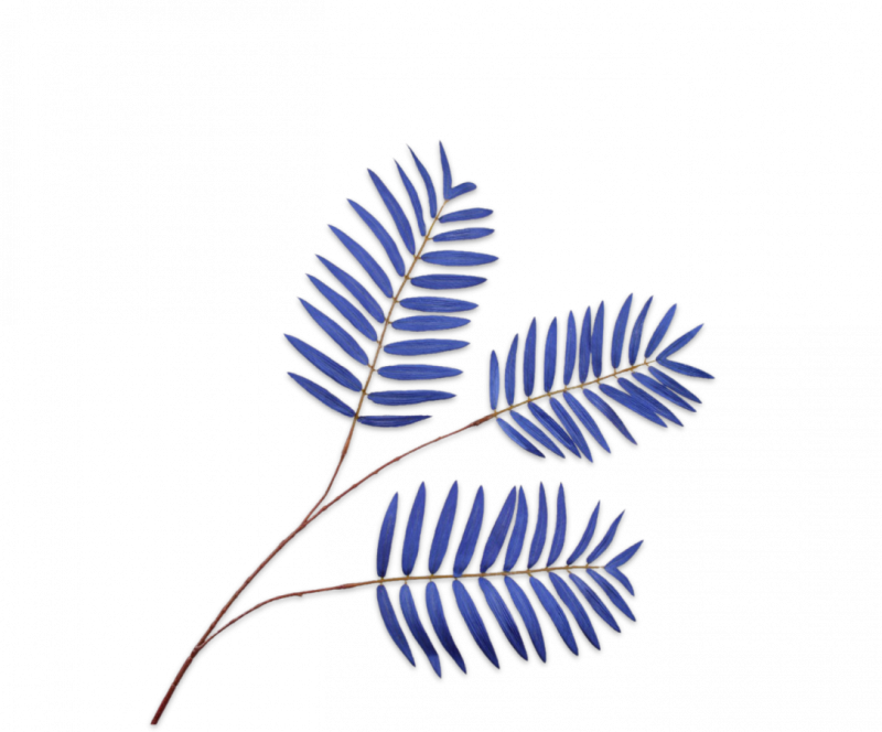 kunst varen blauw