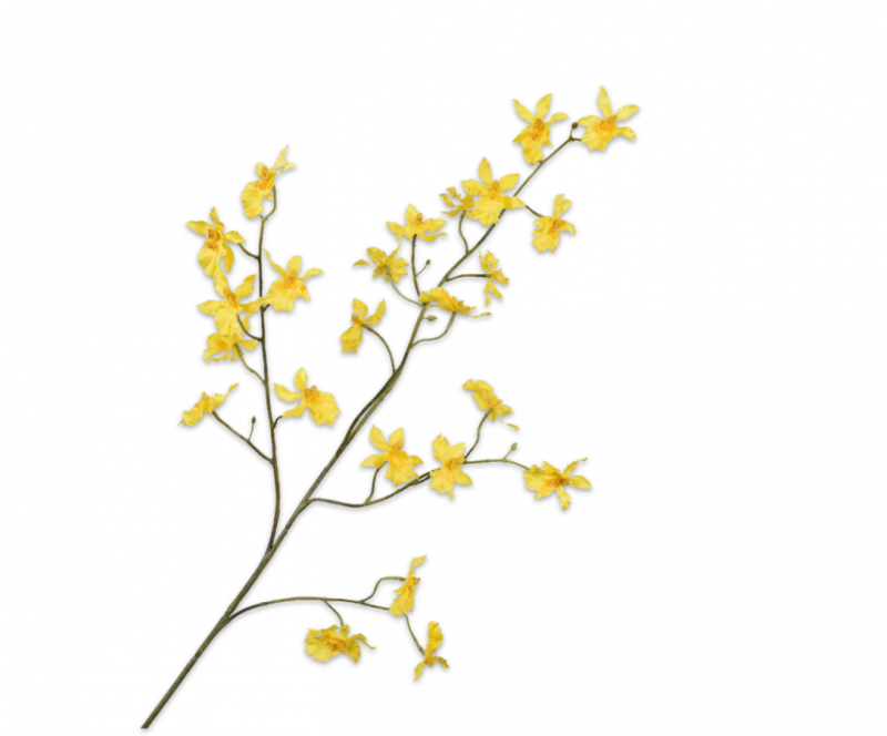 zijden orchidee