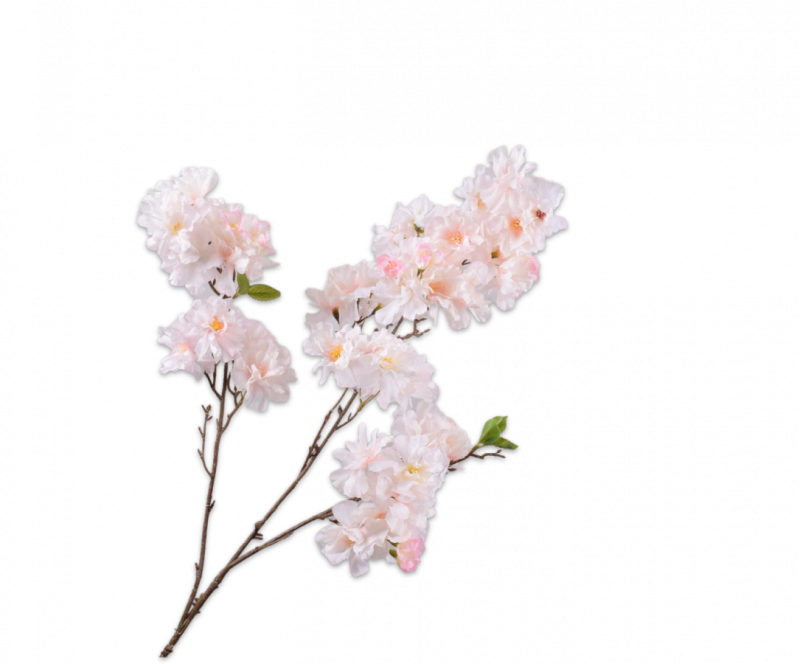 roze bloesemtak