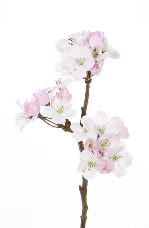 appelbloesem roze