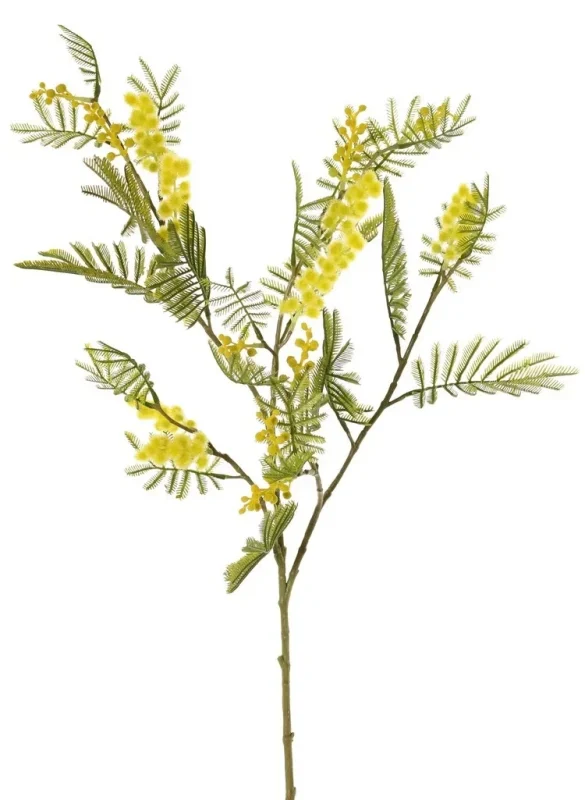 kunst mimosa tak