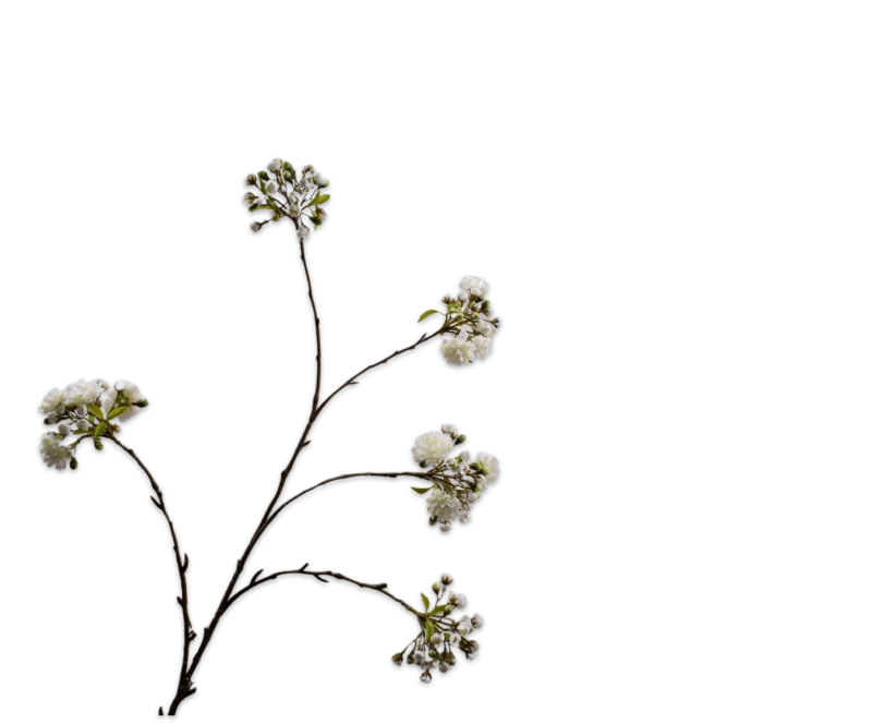 bloesem tak silk-ka