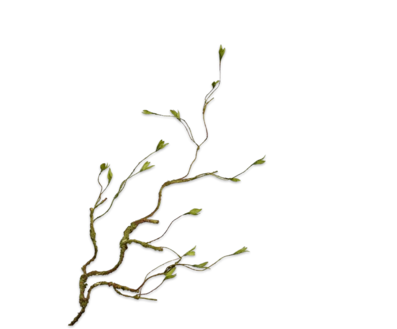 wilgentak silk-ka