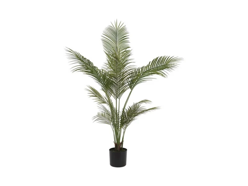 kunst palm