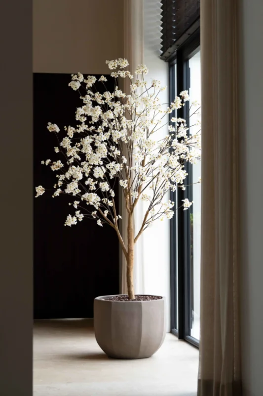 Kunst bloesemboom