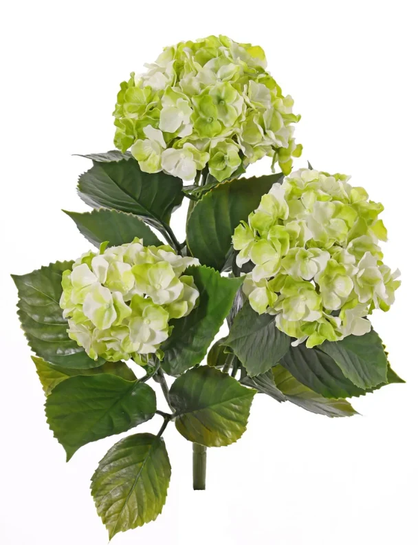 kunst hortensia