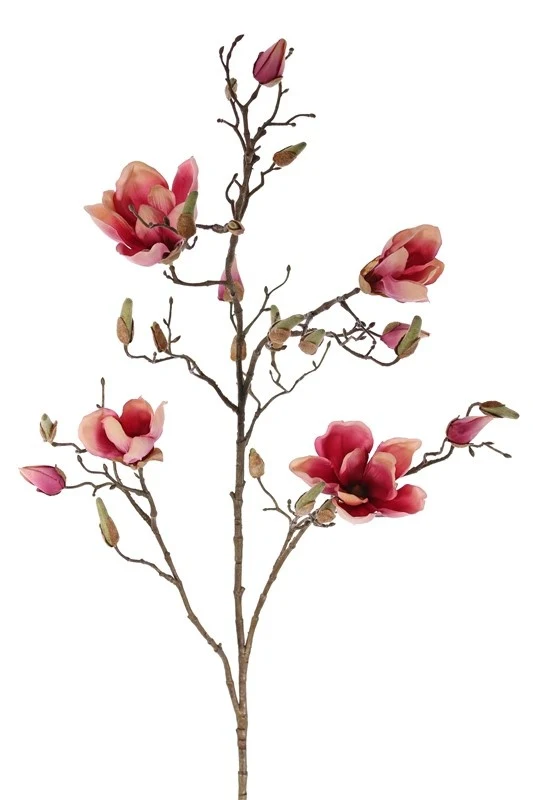 kunst magnolia tak
